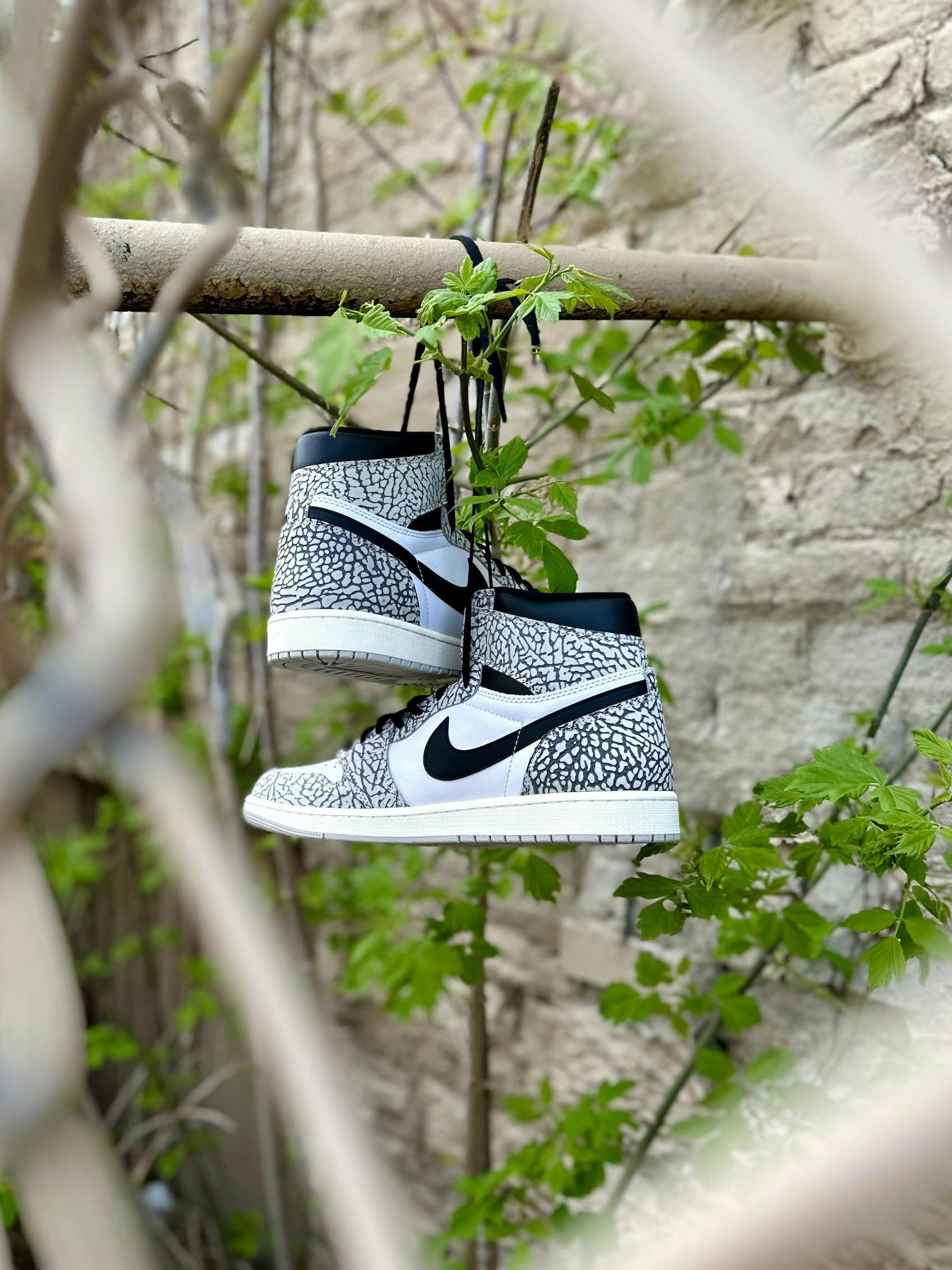 Image of Air Jordan 1 High OG "Elephant"
