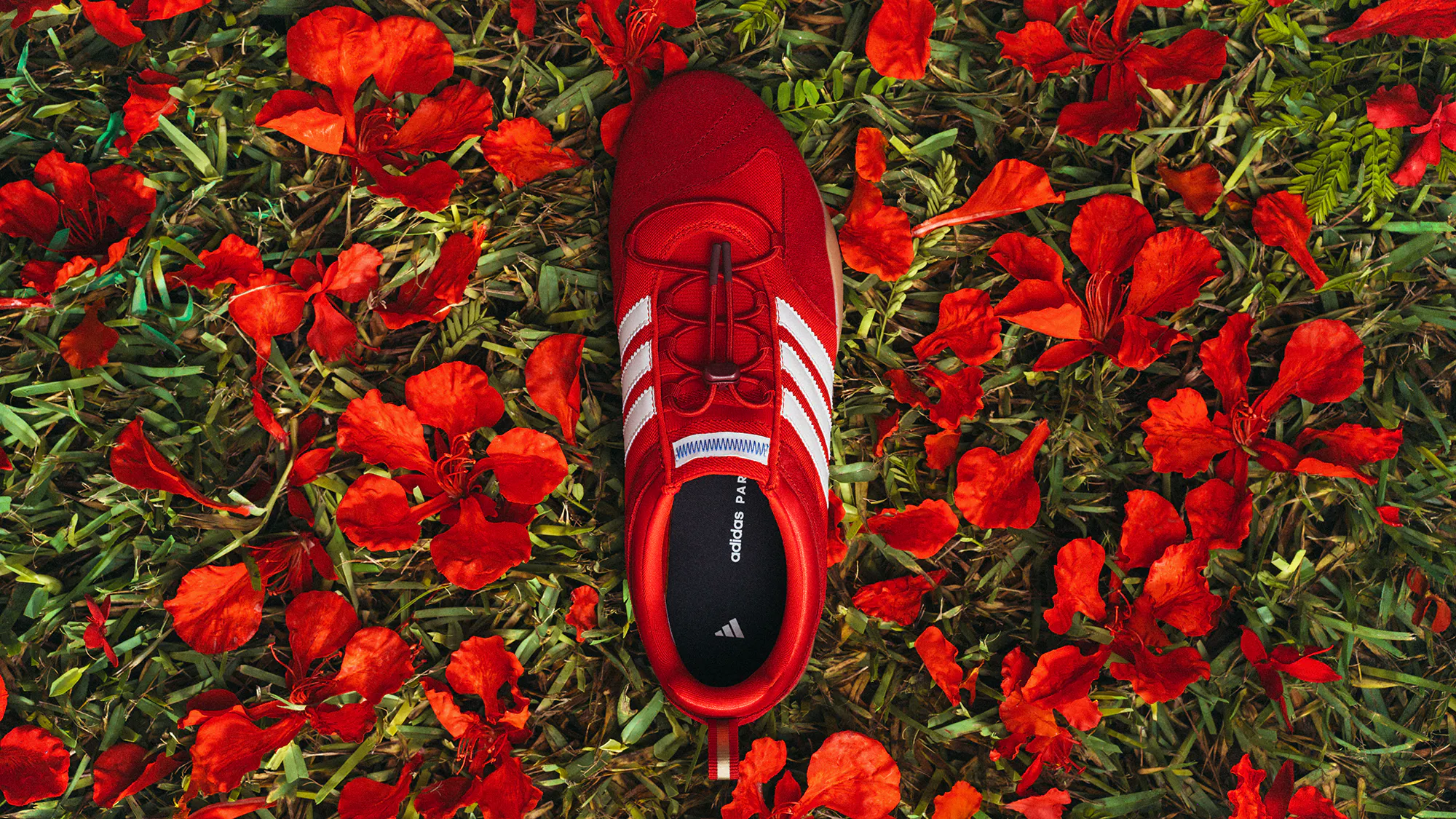 Hero image for Bad Bunny x Adidas Ballerina 'Flamboyan'