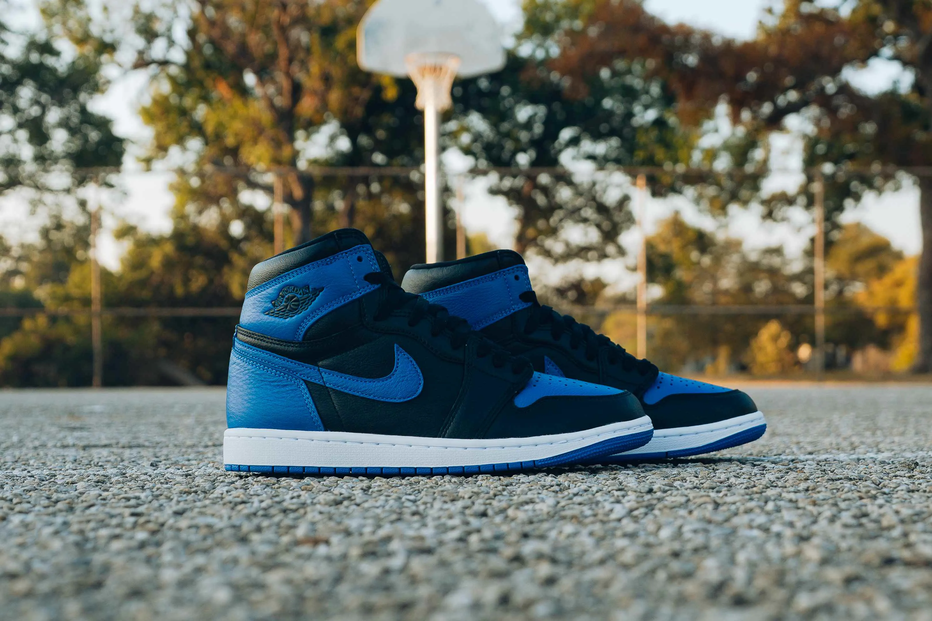 Image of Air Jordan 1 Retro High OG 'Royal'