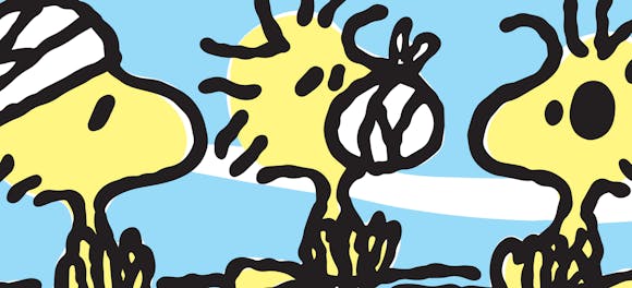 Hero image for Mark Drew Dangerous