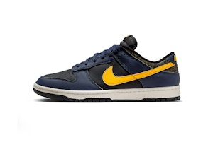Image of Nike Dunk Low Retro Shoes