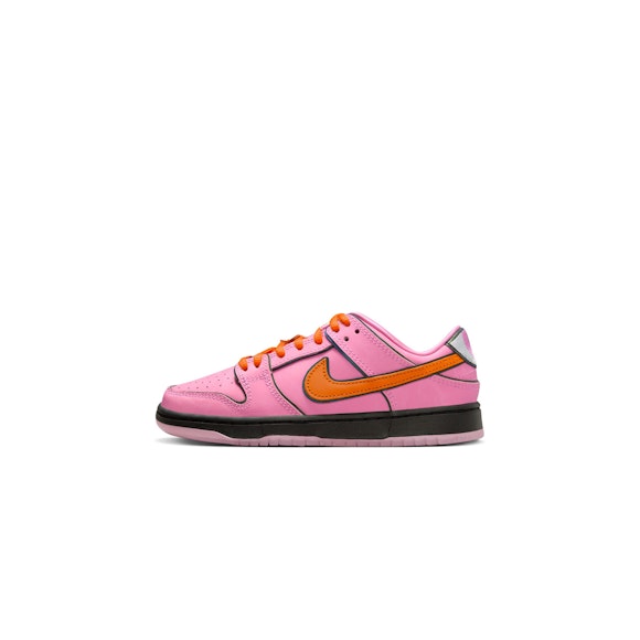 Hero image for Nike SB Little Kids Dunk Low Pro Shoes
