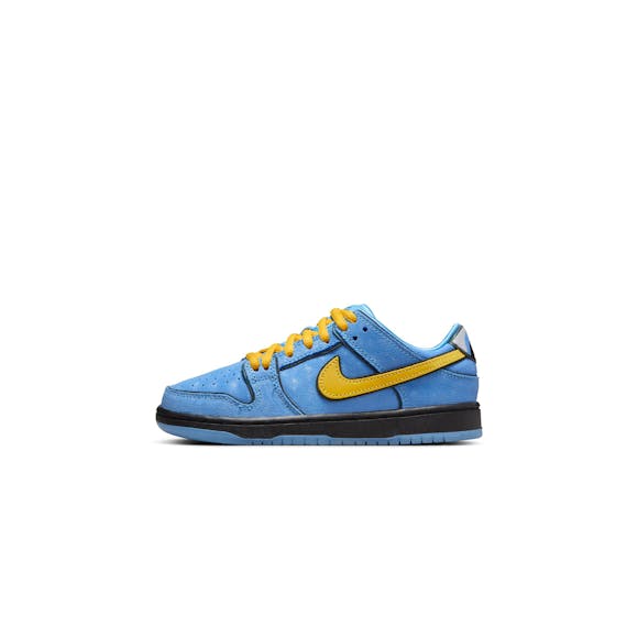 Hero image for Nike SB Little Kids Dunk Low Pro Shoes