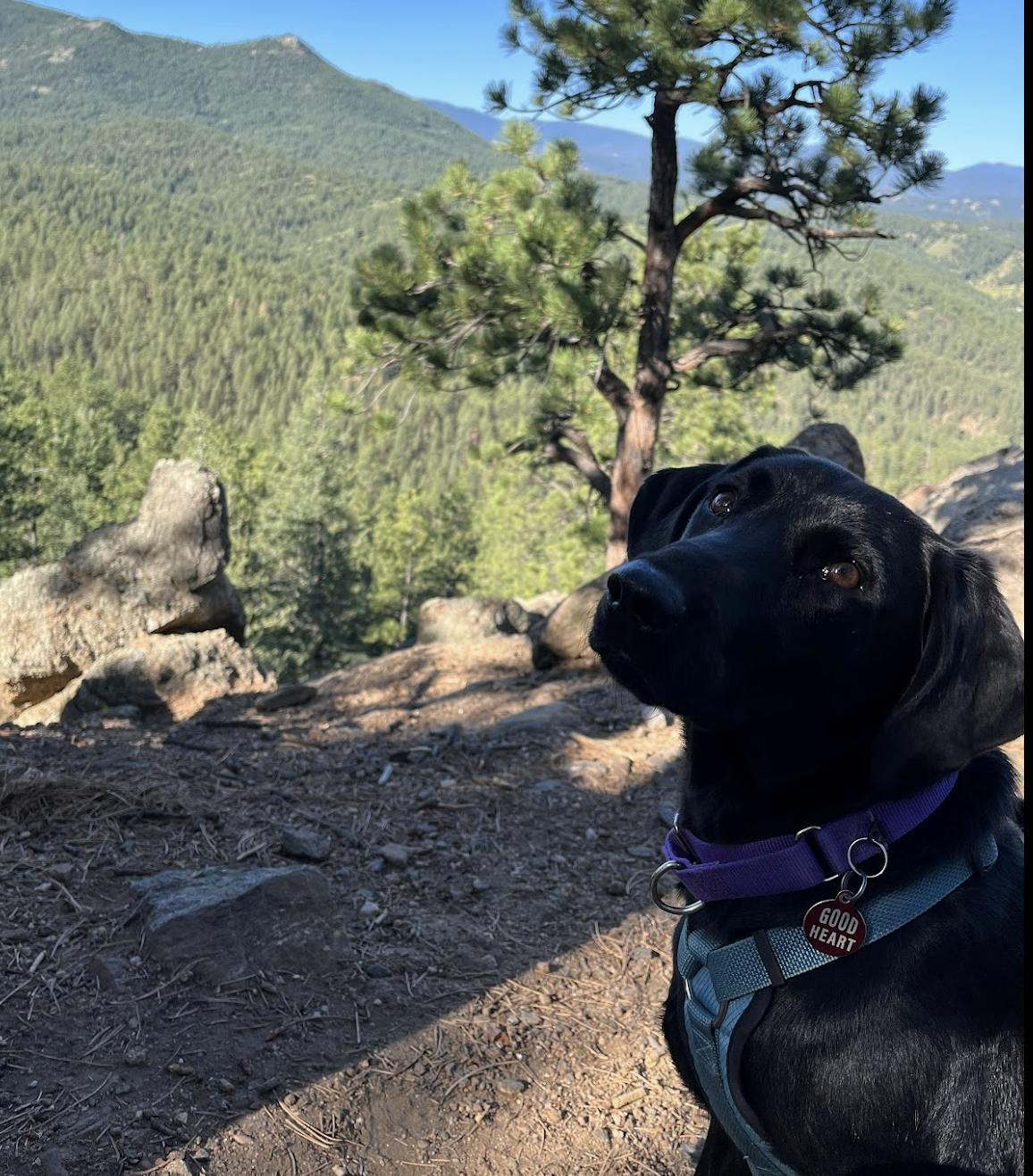 Hero image for TEST - CSV UPLOAD