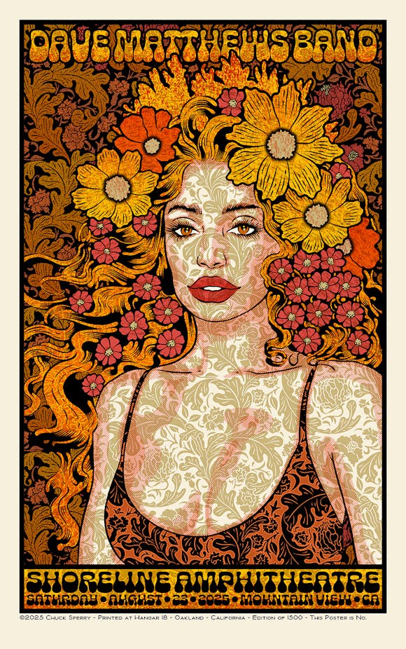 Hero image for Dave Matthews Band, Shoreline, Regular