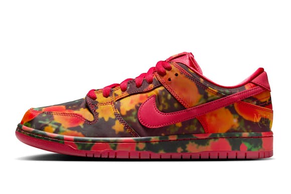 Hero image for Nike SB Dunk Low Pro QS (Wizard of Oz)