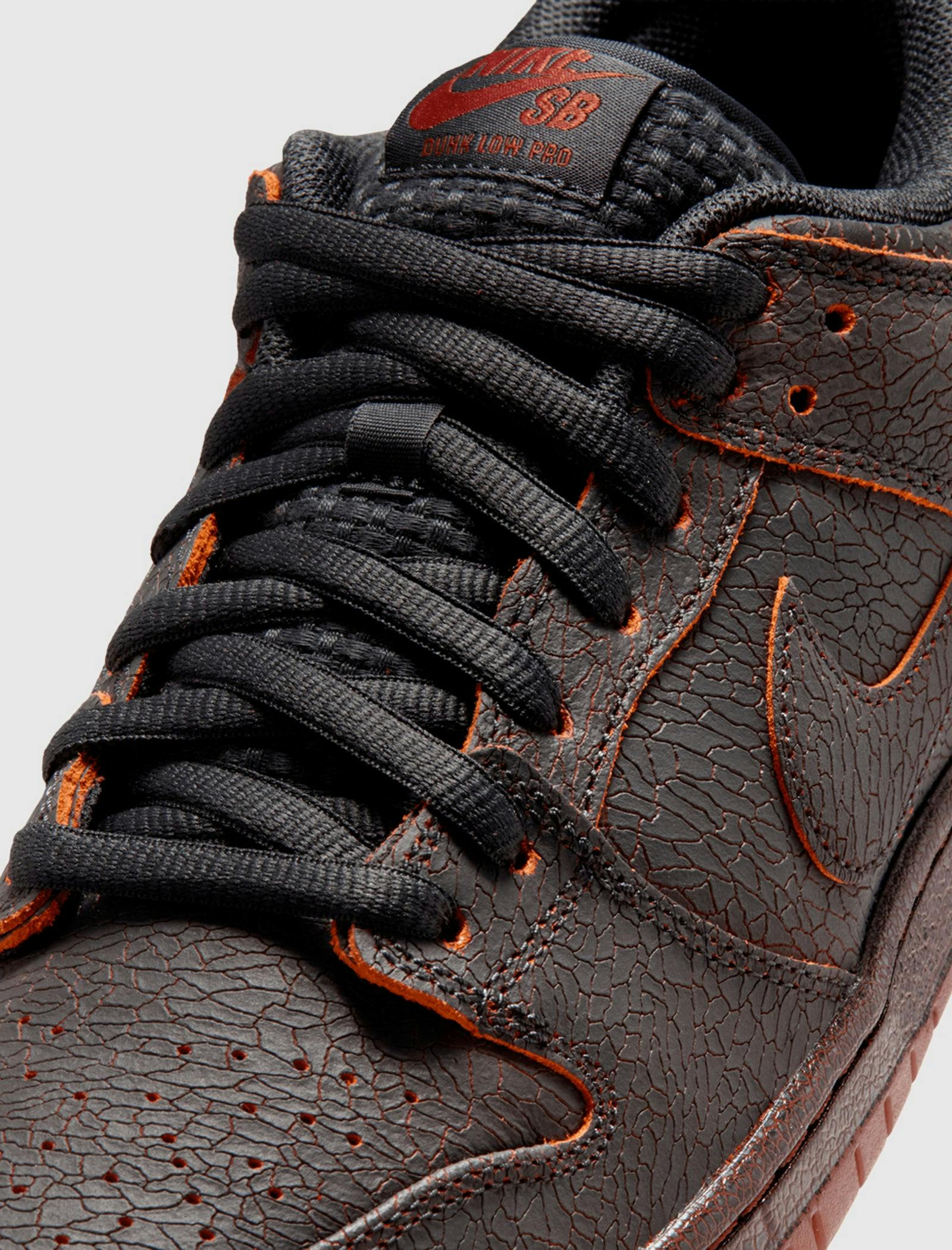 NIKE SB DUNK LOW PRO PRM 