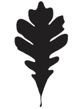 Found North Whisky logo