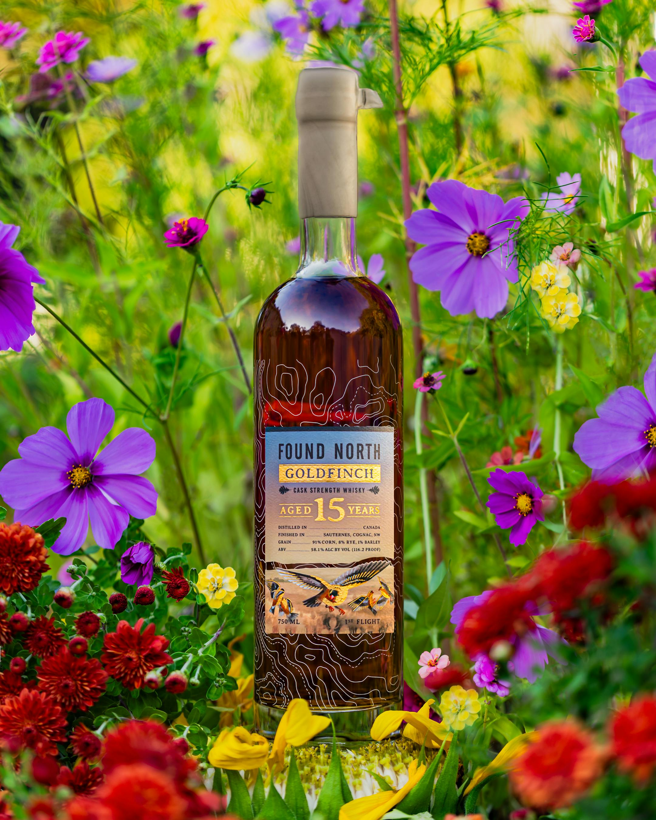 Hero image for Found North Goldfinch First Flight