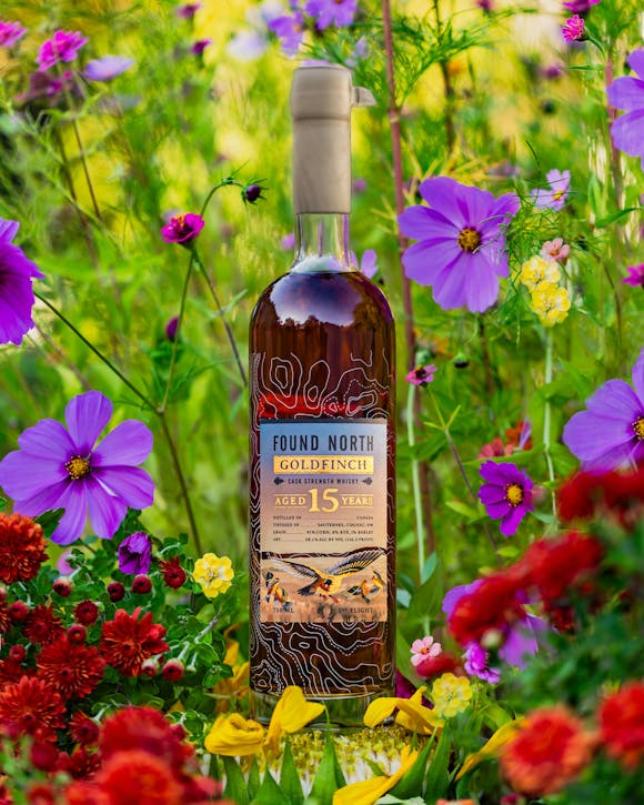 Hero image for Found North Goldfinch First Flight