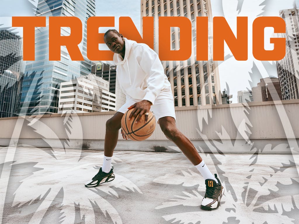 jordan 3 red cement footlocker