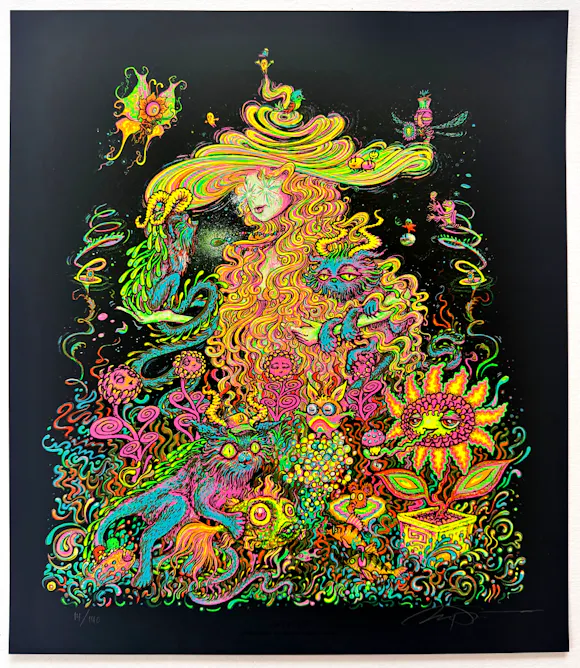 Hero image for Dazzled - Main Edition