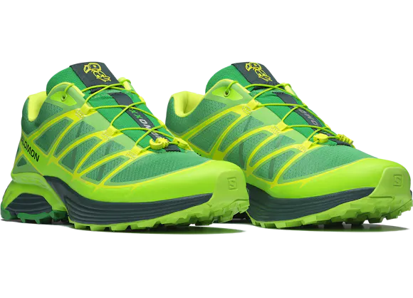 Hero image for XT-PATHWAY 2 FERXXO